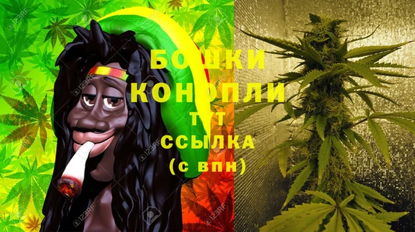 ГАЛЛЮЦИНОГЕННЫЕ ГРИБЫ Баксан